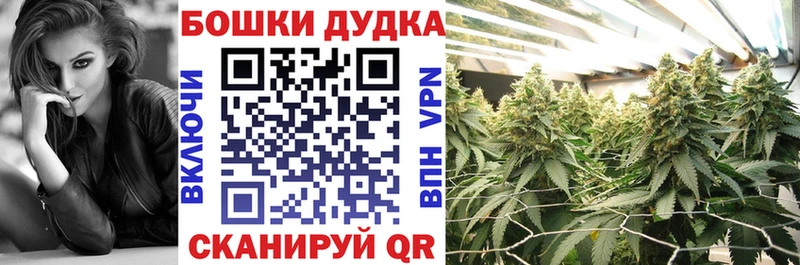 Бошки марихуана индика  Котельнич 